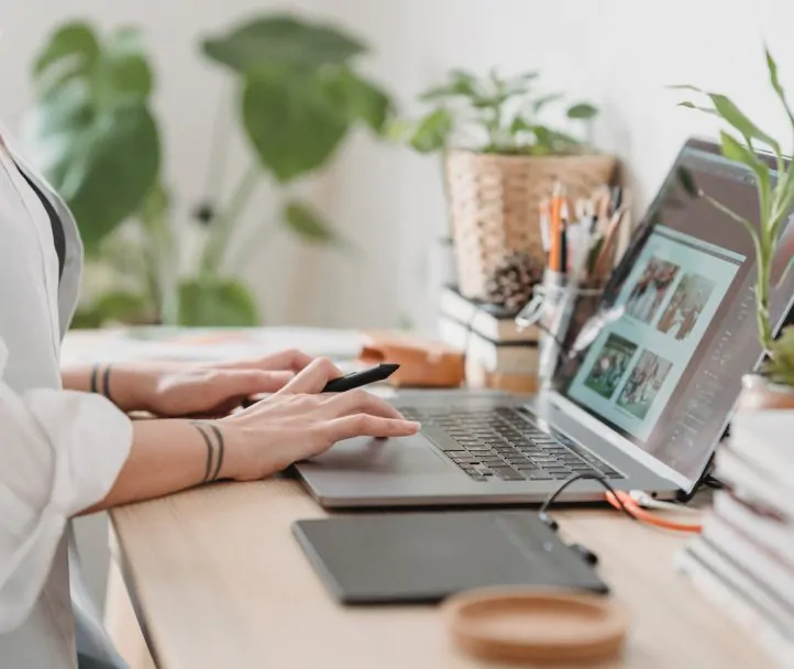 plataformas digitais x sites tradicionais